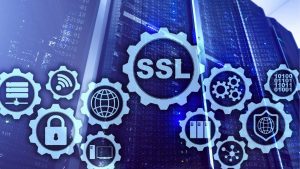 Install Ssl Certificate In WordPress Via Cpanel And Http To Https