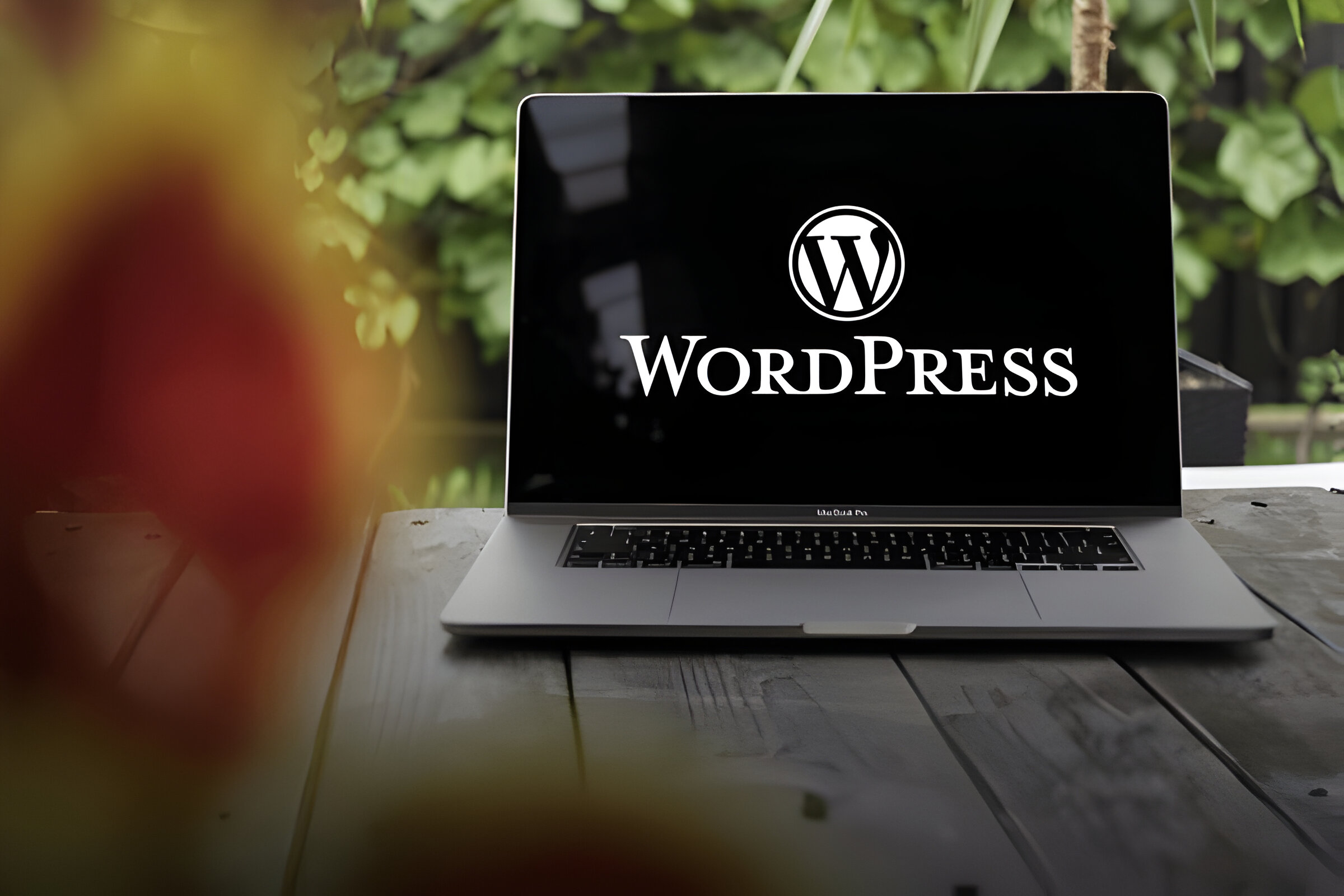 What is WordPress cms