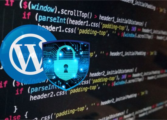 10 Coding Tips How To Secure Wordpress Website