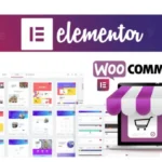 Elementor and WordPress Perfect for Business and Ecommerce