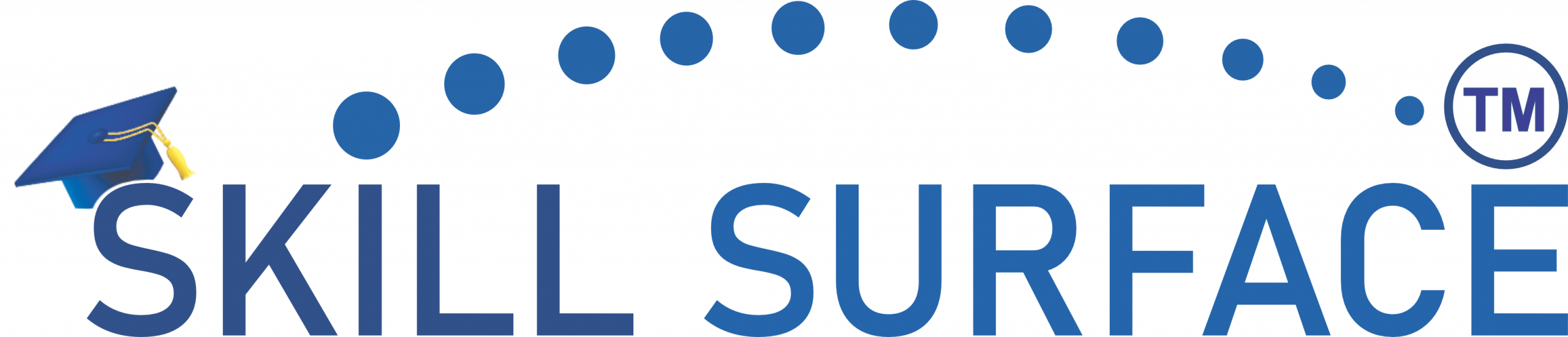 SilkSurface, Study Abroad Visa, Web Design, Hosting, Domain