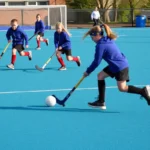 sports hockey revival